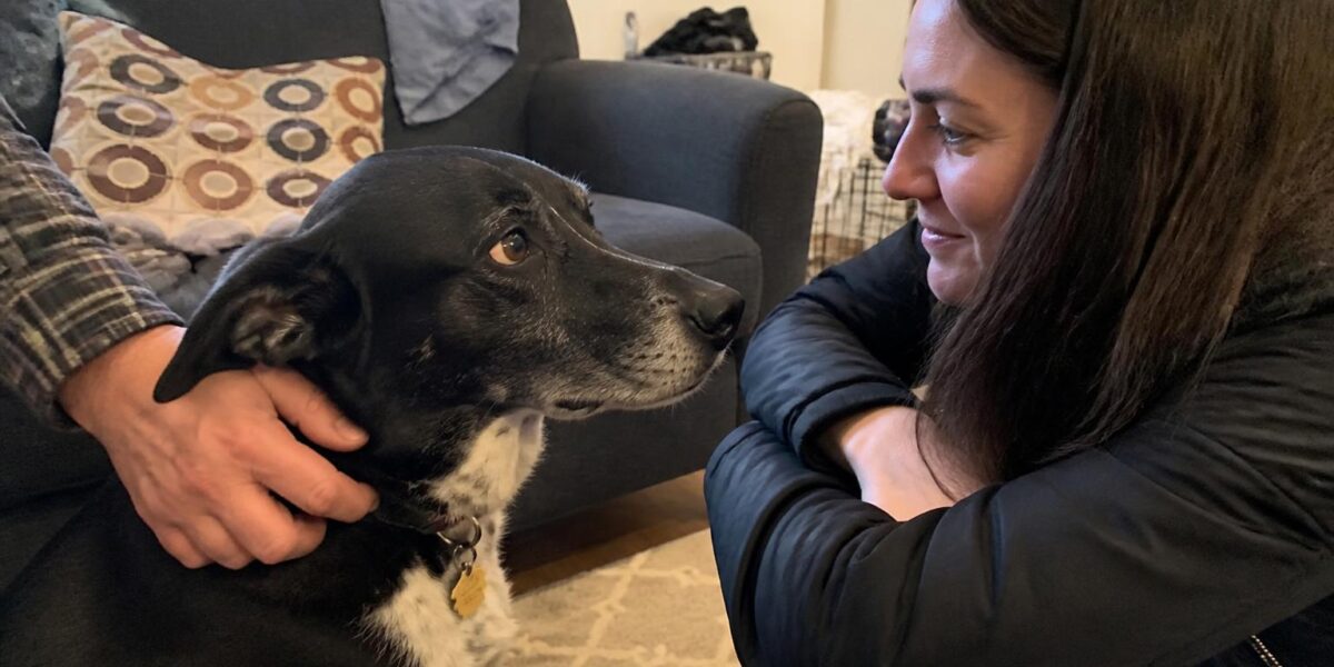 Adopting a Dog With Luxating Patella: Grade Levels and Surgery