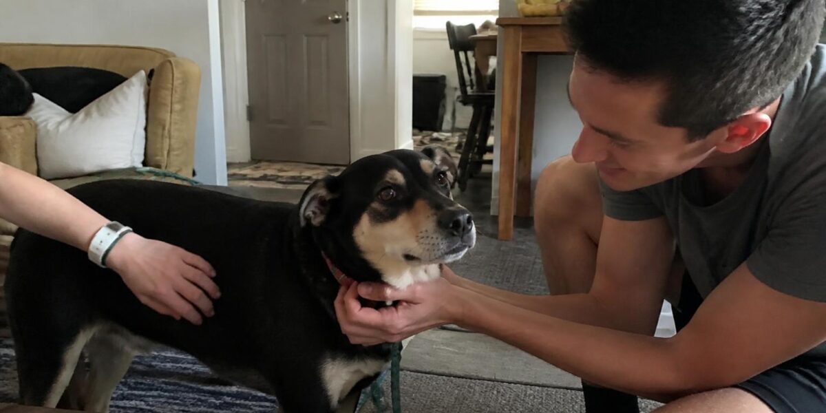 Adopting a Pet as a Deaf Owner: Visual Cues and Routines