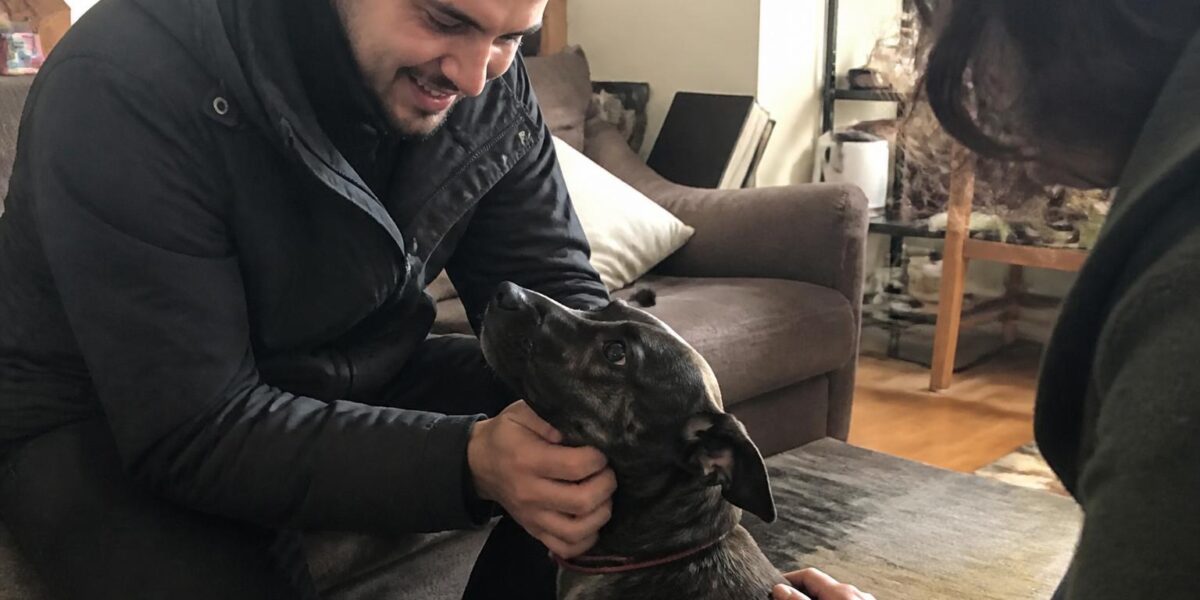 Adopting a Pet as a Military Family: PCS Deployment and Continuity