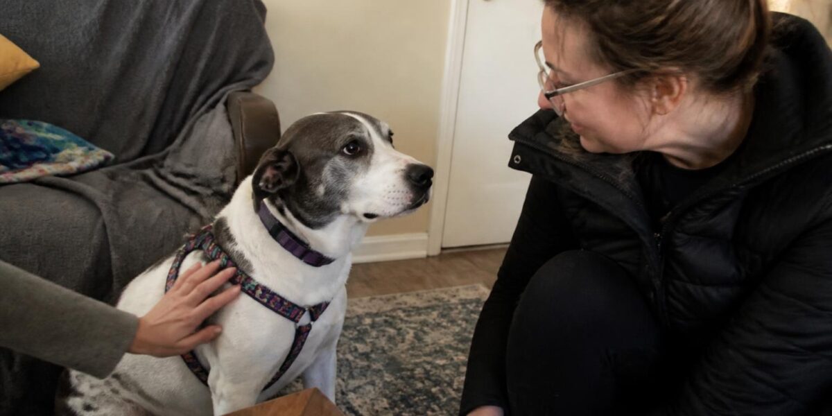 Adopting a Pet as a Senior Citizen: Match and Lifetime Planning