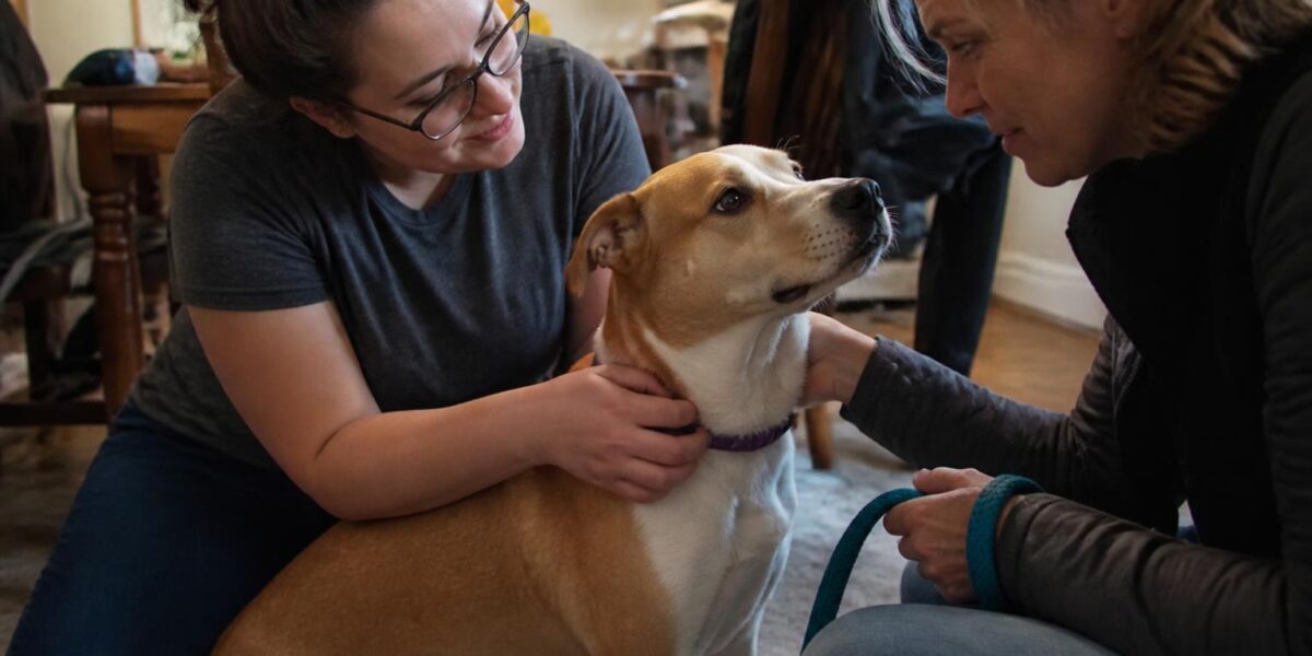 Adopting a Pet as an Autistic Adult: Sensory-Friendly Match