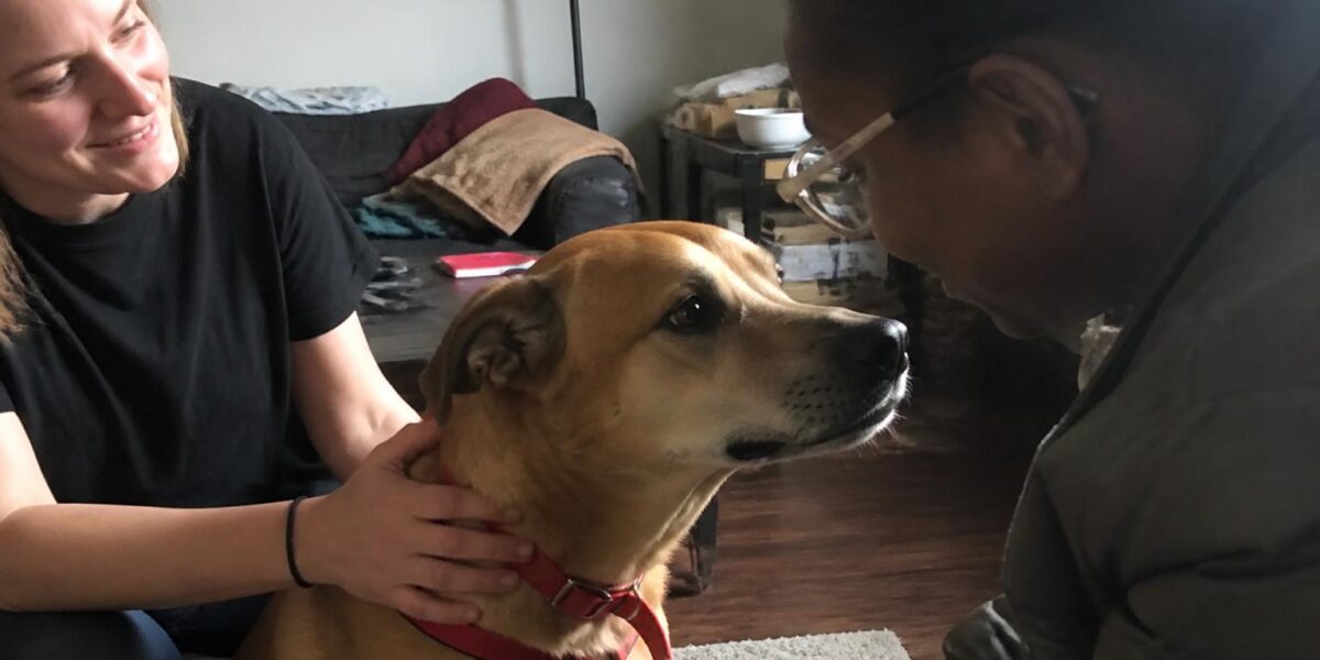 Adopting a Pet for a Child With Anxiety: Best Species and Breeds