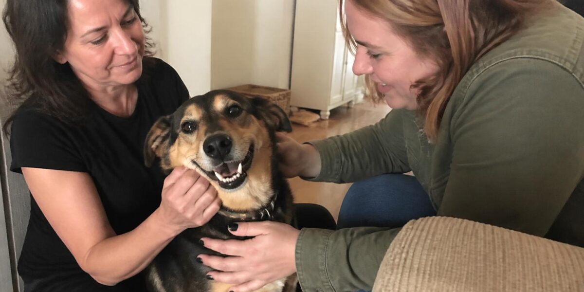 Adopting a Pet While on Disability: Budget and Support Plan