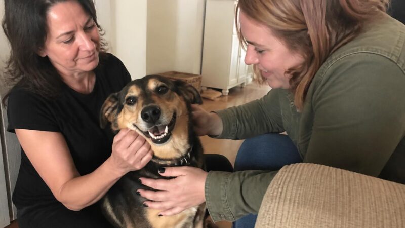 Adopting a Pet While on Disability: Budget and Support Plan