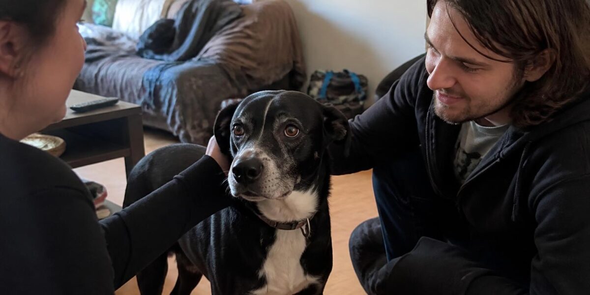 Adopting a Pet With Kids: A Complete Guide for Families