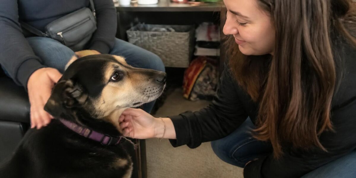 Adopting a Pet for a Family with Special Needs Kids: Calm Match