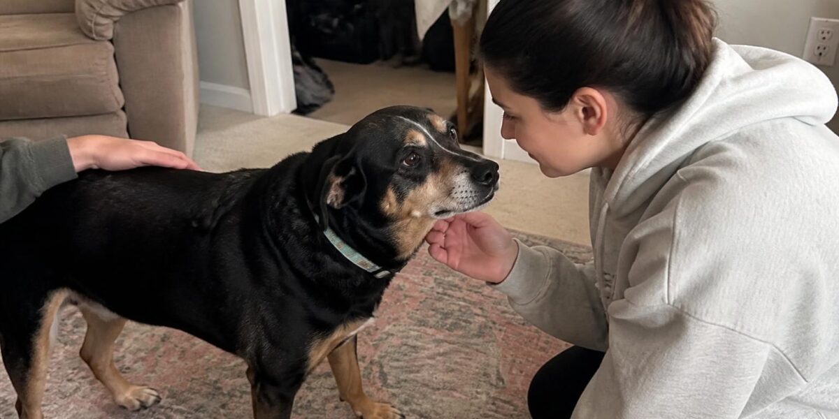 Adopting a Special Needs Pet: A Complete Guide to Caring for Pets with Disabilities