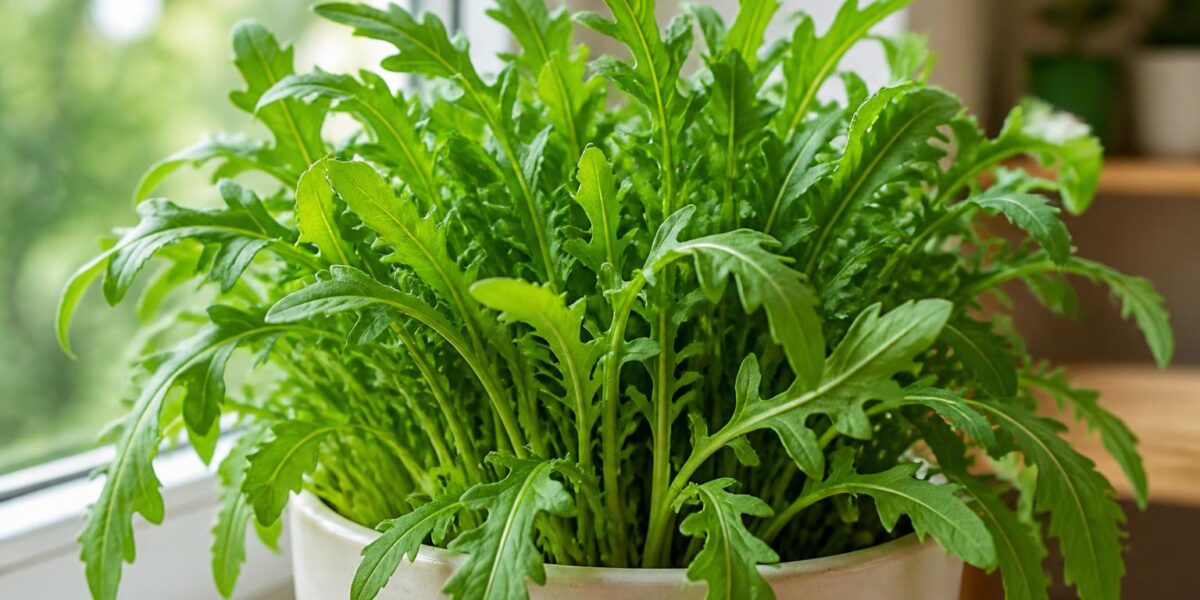 Are Arugula Plants Safe for Pets? Eruca Sativa Garden Guide