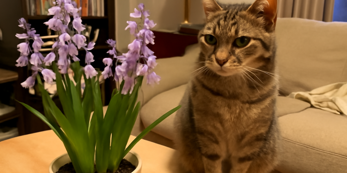 Are Bluebells Toxic to Cats? Hyacinthoides Spring Bulb Risk