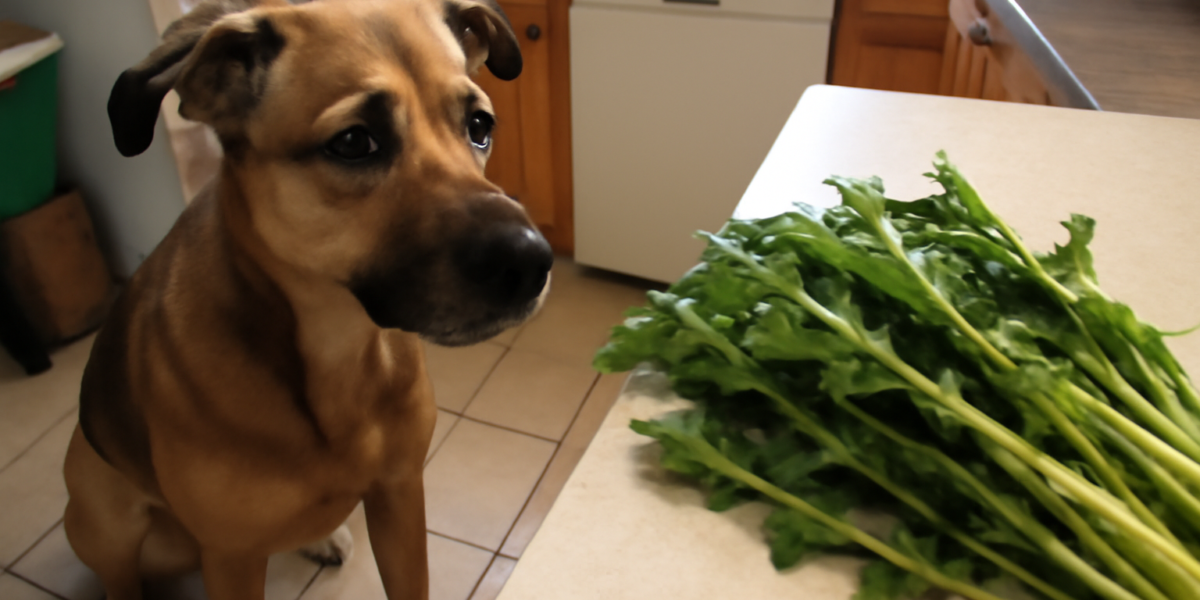 Can Dogs Eat Dandelion Greens? Wild Edible Safety