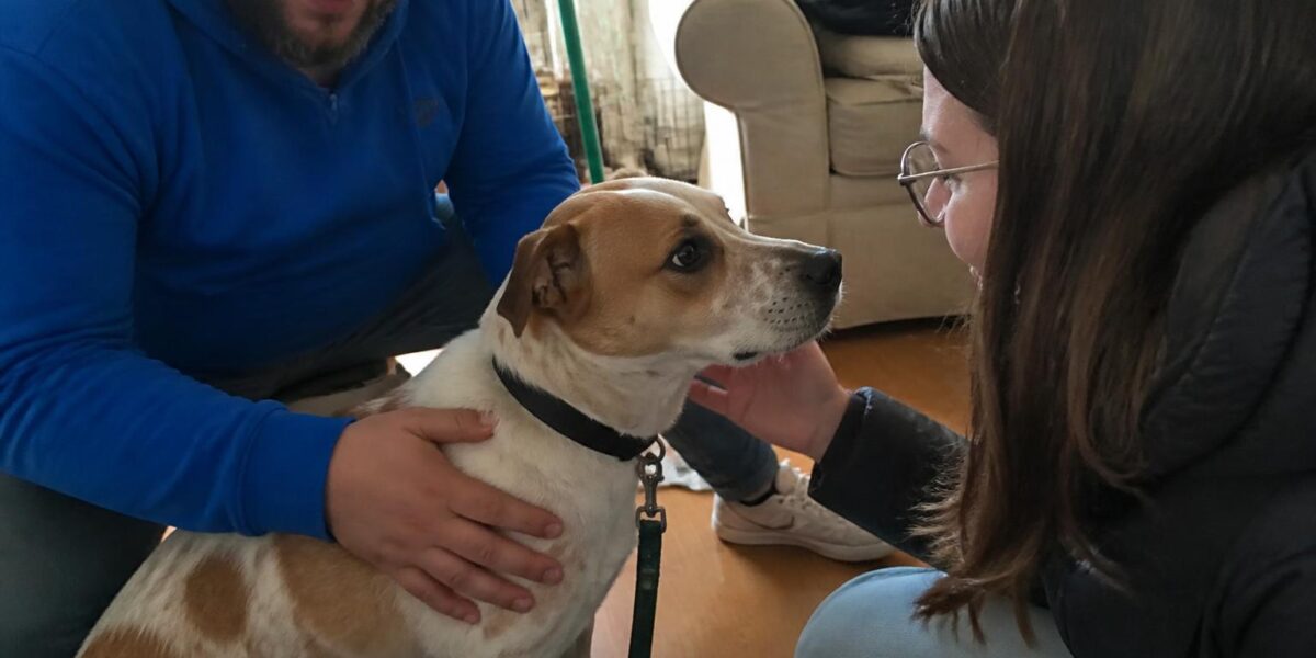 Causes for Animals Singapore: Rescue and Adoption Guide
