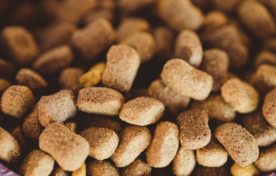 A close-up view of brown dog kibble, highlighting texture and variety.