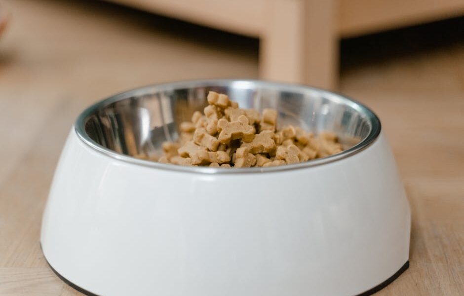 A stainless steel dog bowl filled with dry dog treats on a wooden floor.