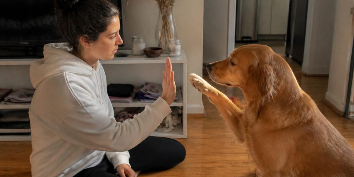 How to Deworm a Dog: Signs of Worms, Treatment & Prevention