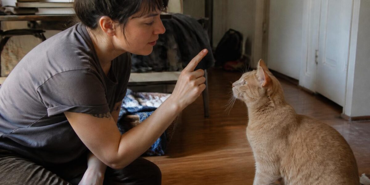 How to Give a Cat a Pill
