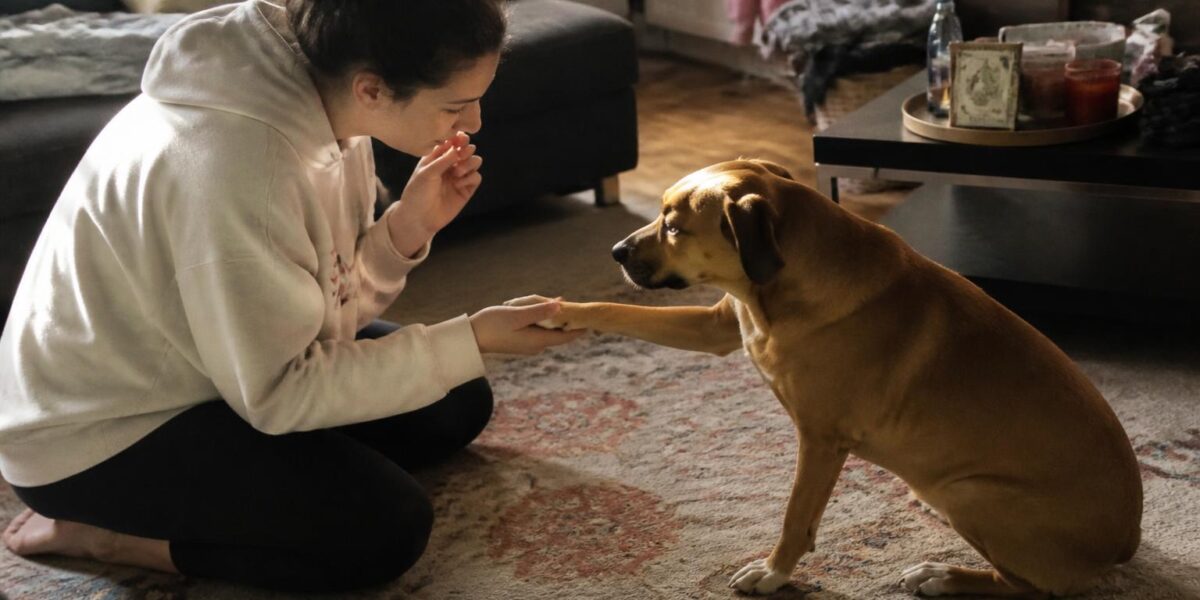 How to Give a Dog a Pill