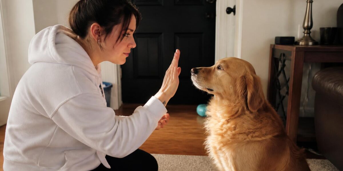 How to Give a Pet an Injection at Home