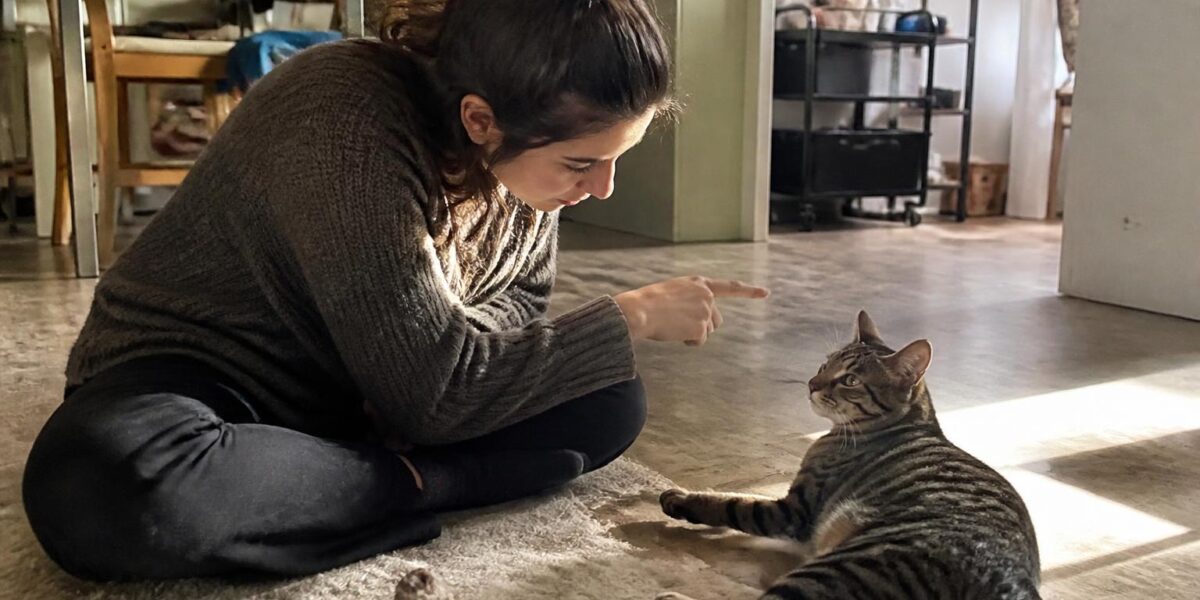 How to Give a Cat Liquid Medicine Without a Fight
