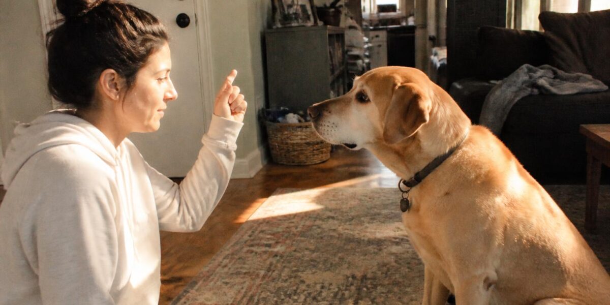 How to Give Subcutaneous Fluids at Home