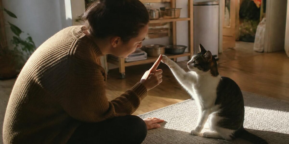 How to Introduce a Dog to a Cat: Step-by-Step