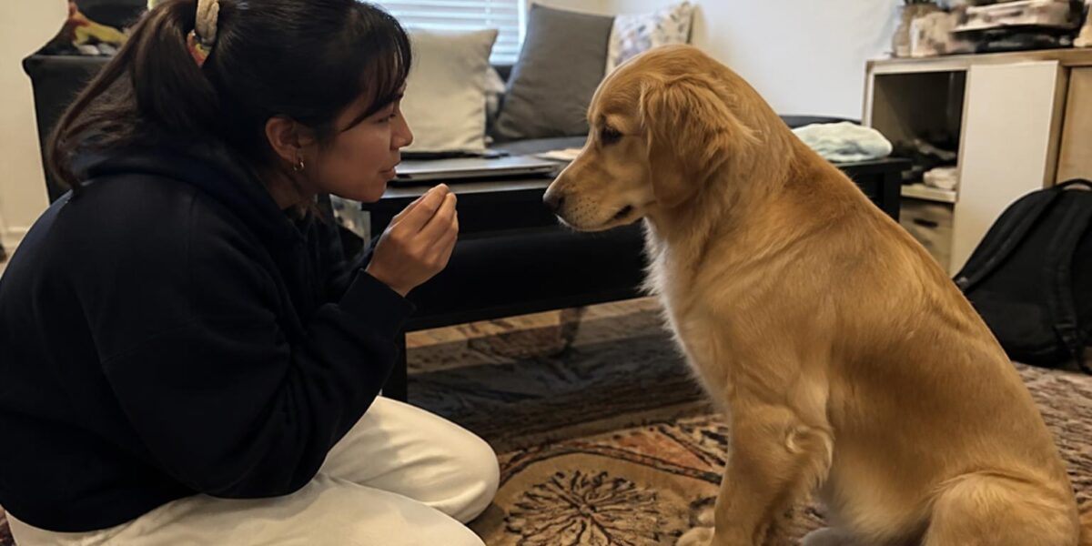 How to Switch Dog Food: Transition Guide to Avoid Upset Stomach