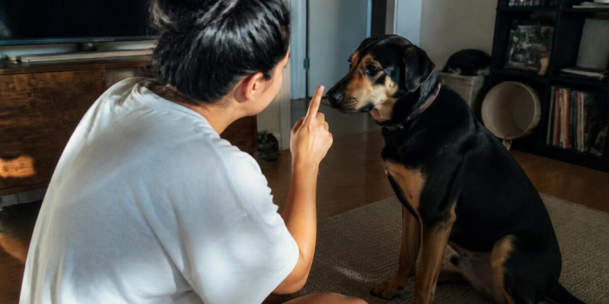 How to Trim Dog Nails: Step-by-Step Guide & Tips