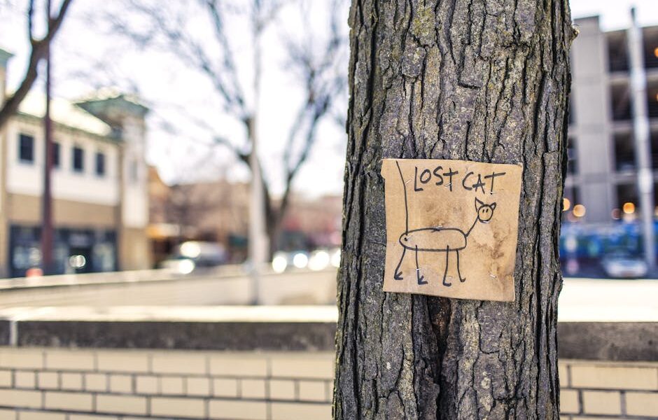A handmade lost cat sign tacked to a tree on a city street with blurred buildings in the background.