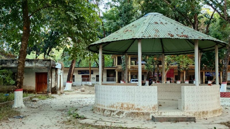 A serene outdoor view of a rustic pavilion surrounded by trees on a peaceful day.