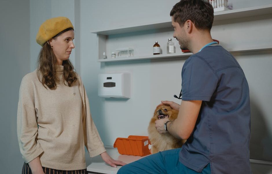 Veterinarian consulting with dog owner in a clinic while holding a Pomeranian.