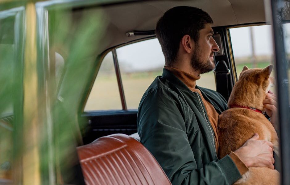 A man and his dog sitting in a vintage car, gazing out the window.