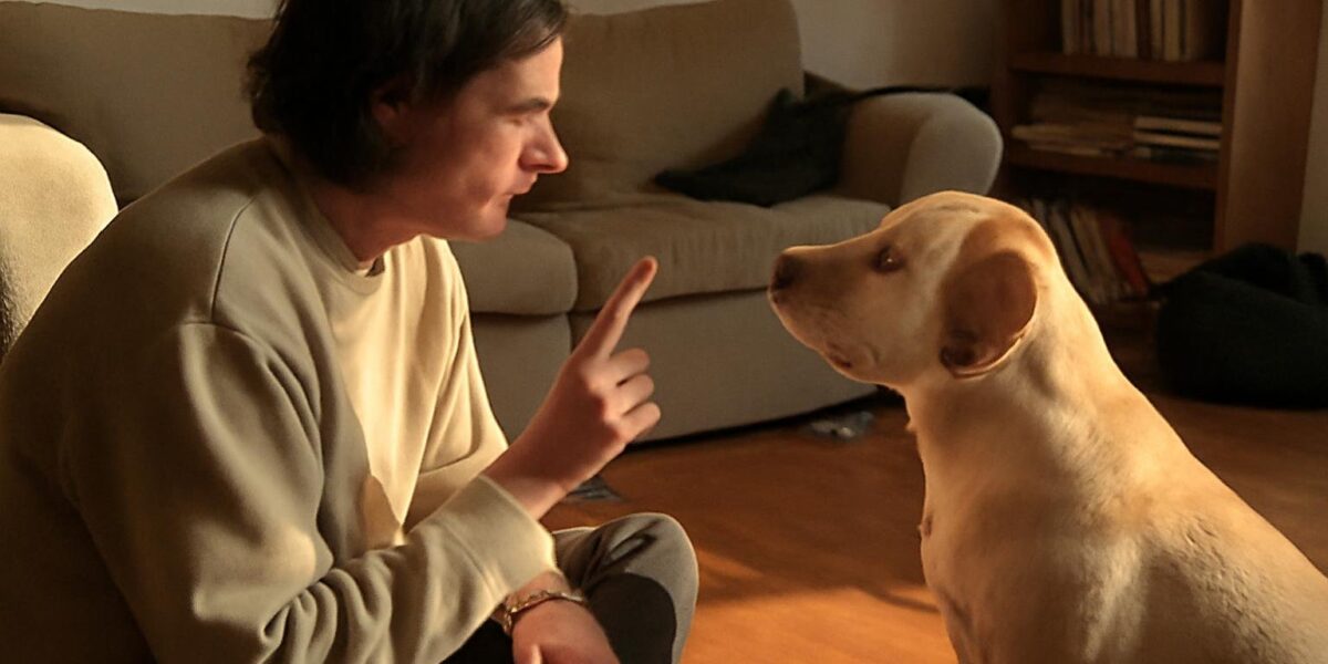 Why Does My Guinea Pig Lick Me?