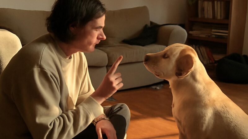 Why Does My Guinea Pig Lick Me?